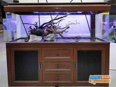 加盟觀賞魚缸店需要考慮哪些問題：加盟一家觀賞魚缸店你可以參考以下幾個品牌加盟品牌