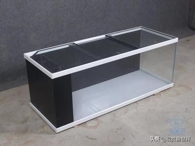 地圖魚飼養(yǎng)指南：地圖魚的健康種體形較大的熱帶魚飼養(yǎng)指南熱帶魚飼養(yǎng)技巧