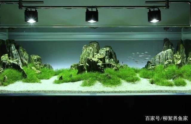 邢臺哪里有賣魚缸的地方呀：邢臺哪里有賣魚缸的地方