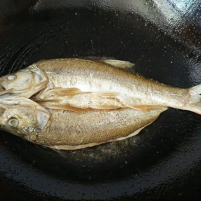 紅龍魚嘴唇發(fā)色需要哪些光照條件？