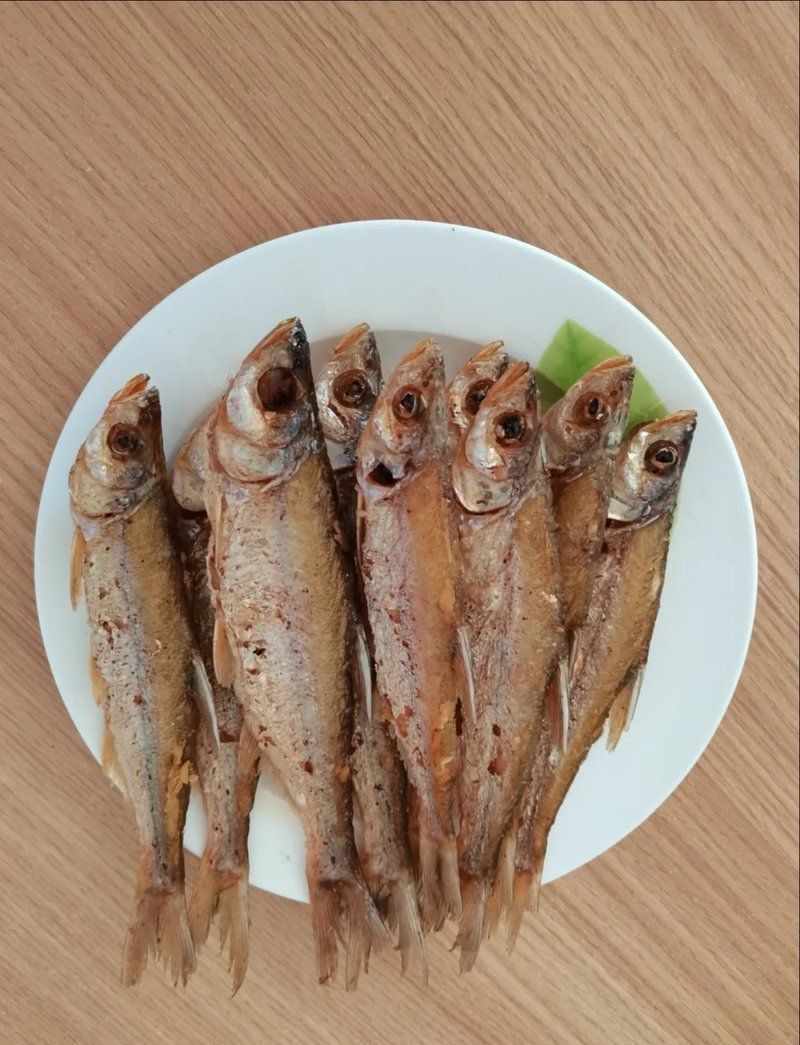 紅龍魚嘴唇發(fā)色需要哪些光照條件？