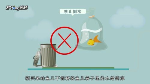 新買的魚缸消毒、養水和適合養水和適應期的魚缸使用方法：新買的魚缸如何使用