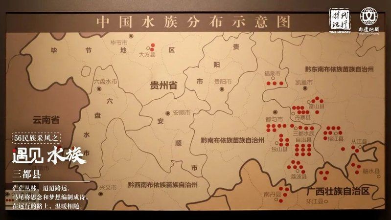 貴州水族簡介 貴州水族簡介 龍魚論壇 第5張