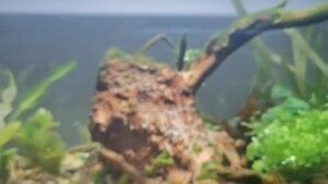晶晶魚缸：晶晶魚缸價格對比分析晶晶魚缸價格對比分析