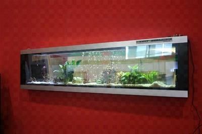 魚缸設(shè)計(jì)的藝術(shù)與科學(xué)魚缸設(shè)計(jì)的藝術(shù)與科學(xué)魚缸設(shè)計(jì)：海南魚缸定制