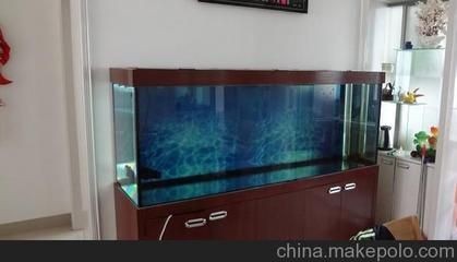 魚缸設(shè)計(jì)的藝術(shù)與科學(xué)魚缸設(shè)計(jì)的藝術(shù)與科學(xué)魚缸設(shè)計(jì)：海南魚缸定制