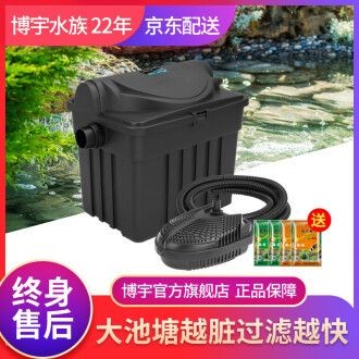 魚缸過濾器的清洗方法和注意事項：清洗魚缸過濾器的方法和注意事項