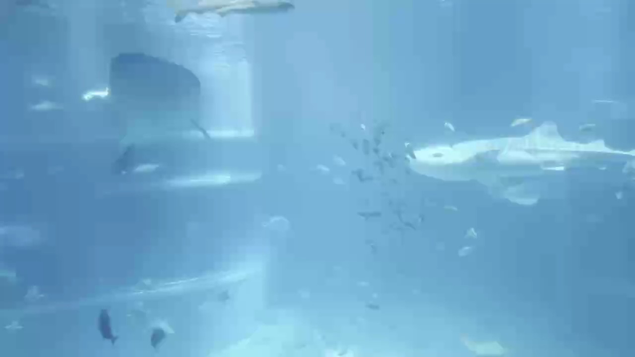 壯觀