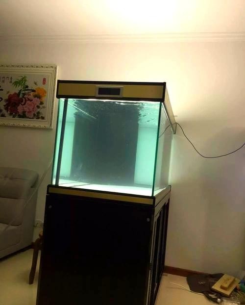 銀龍魚缸造景圖片大全集