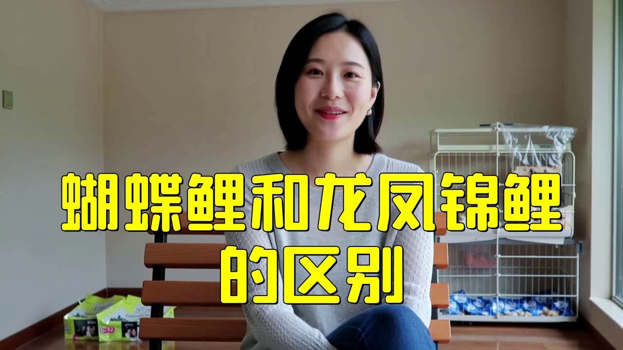 蝴蝶鯉和龍鳳怎么辨別