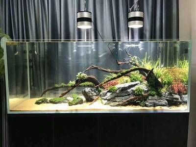 定制魚缸購買合同的注意事項：定制魚缸購買合同內容、條款以及注意事項、注意事項