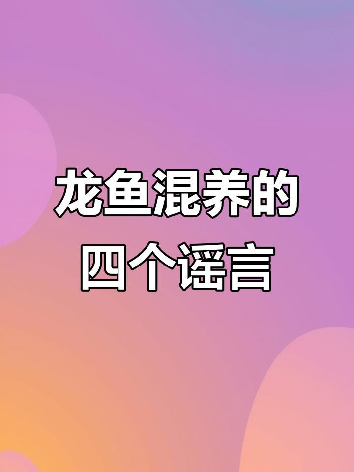 龍魚混養(yǎng)有哪些常見誤區(qū)？