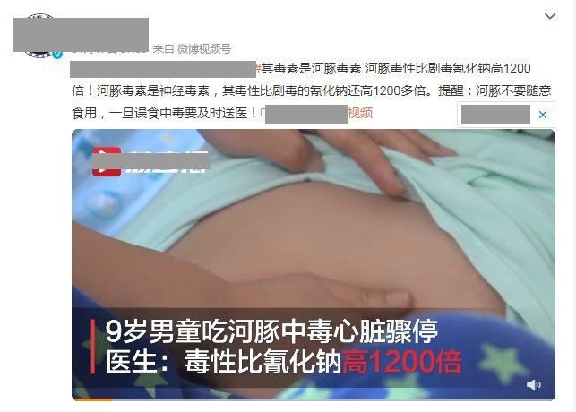 弓斑河豚是狗頭魚是河豚嗎