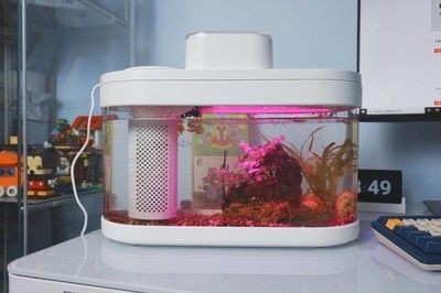 畫法幾何魚缸的維護(hù)與保養(yǎng)：畫法幾何魚缸水泵不工作怎么辦