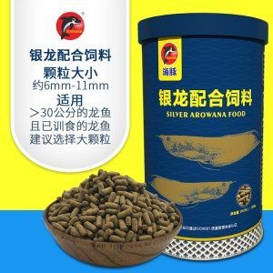 紅龍魚繁殖期飼料選擇，紅龍魚繁殖期營養(yǎng)需求詳解