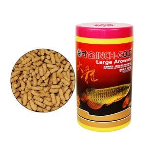 紅龍魚繁殖期飼料選擇，紅龍魚繁殖期營養(yǎng)需求詳解