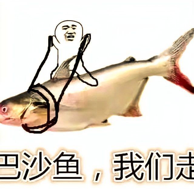 觀賞魚巴沙魚