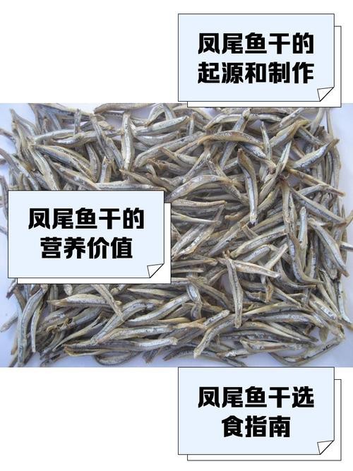 淡水鳳尾魚圖片
