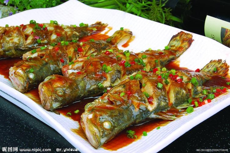 桂花魚圖片高清大圖 桂花魚圖片高清大圖 龍魚論壇 第22張