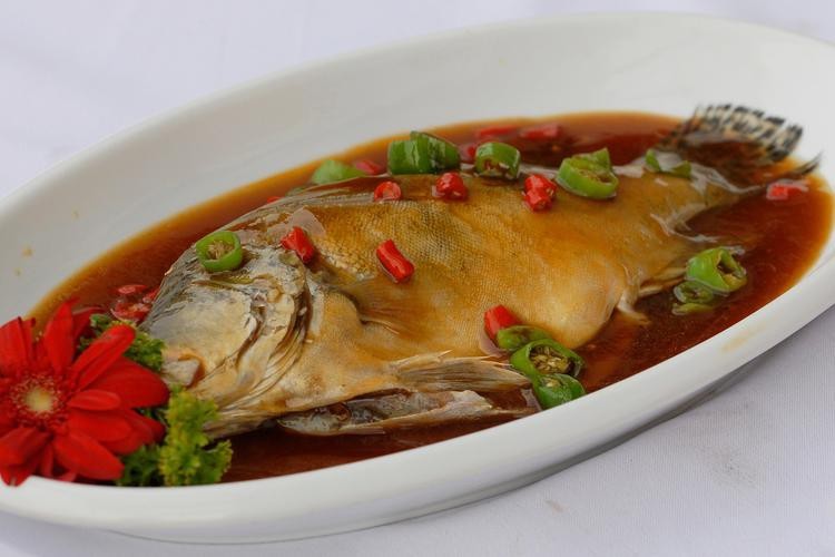 桂花魚圖片高清大圖 桂花魚圖片高清大圖 龍魚論壇 第19張