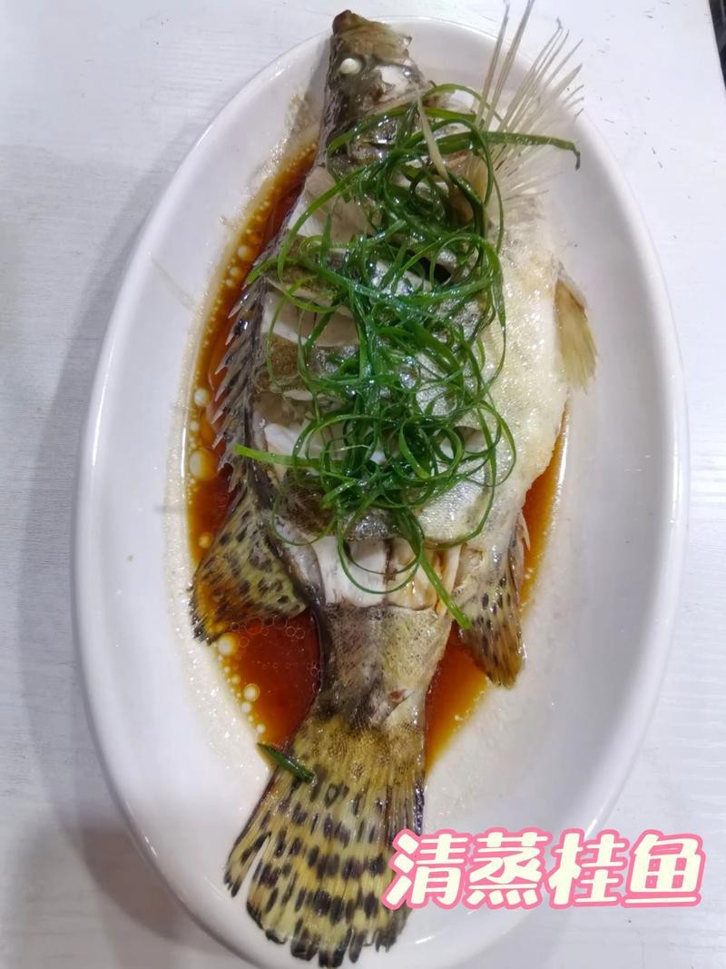 桂花魚圖片高清大圖 桂花魚圖片高清大圖 龍魚論壇 第20張
