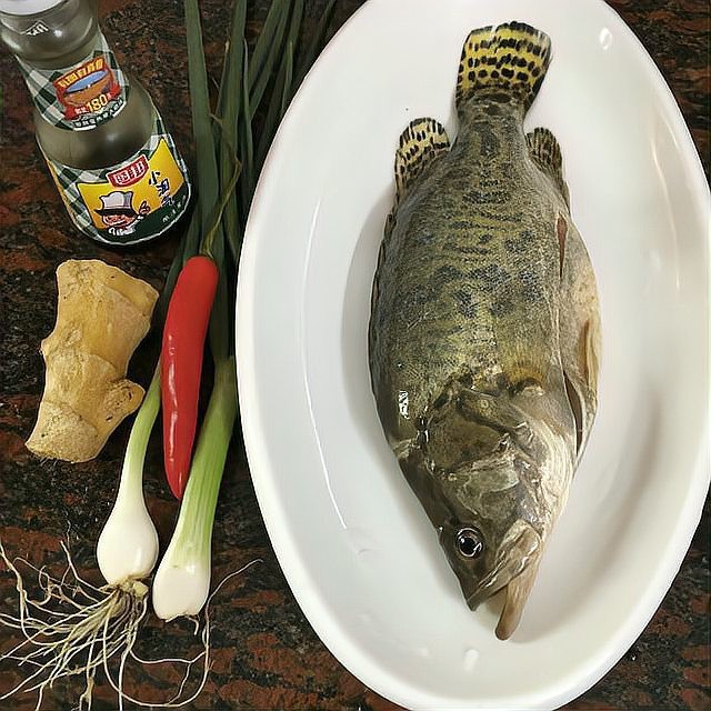 桂花魚圖片高清大圖 桂花魚圖片高清大圖 龍魚論壇 第27張