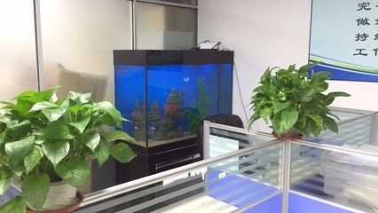 魚缸品質(zhì)排行
