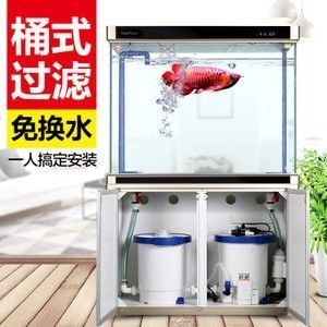 龍魚過濾系統什么牌子的好：森森、彩蝶、閩江和御龍等品牌的過濾系統都是養龍魚時不錯的選擇