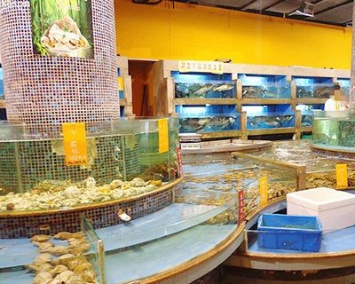 山西海之星水族工藝制品有限公司水族箱養(yǎng)護(hù)秘籍：山西海之星水族工藝制品