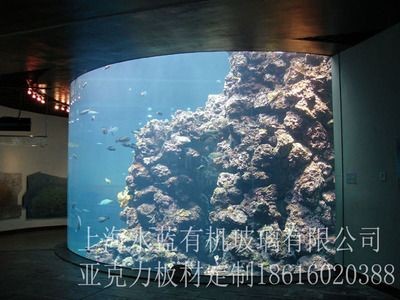 弧形魚缸和方形魚缸的區別：圓形魚缸對魚的影響