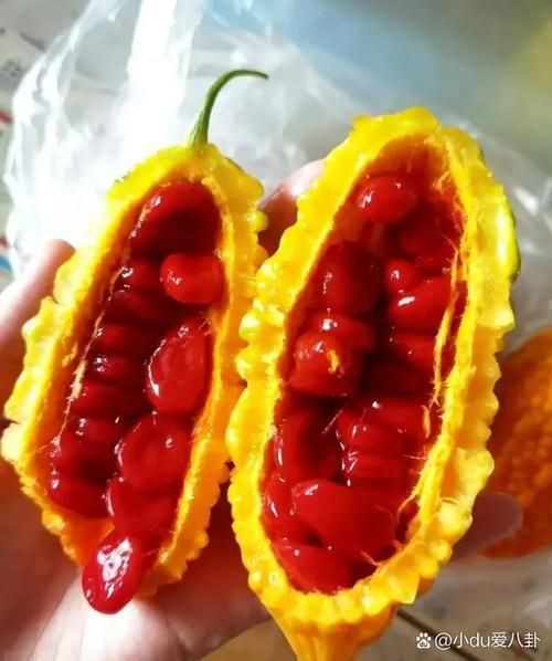 高背金龍魚怎么養(yǎng)金質(zhì)更好（如何通過飼料的選擇和喂養(yǎng)方法來提升高背金龍魚的金質(zhì)？）