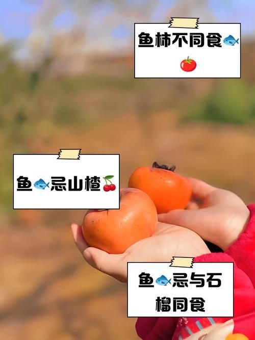 紅勾銀版魚最忌三種水果圖片