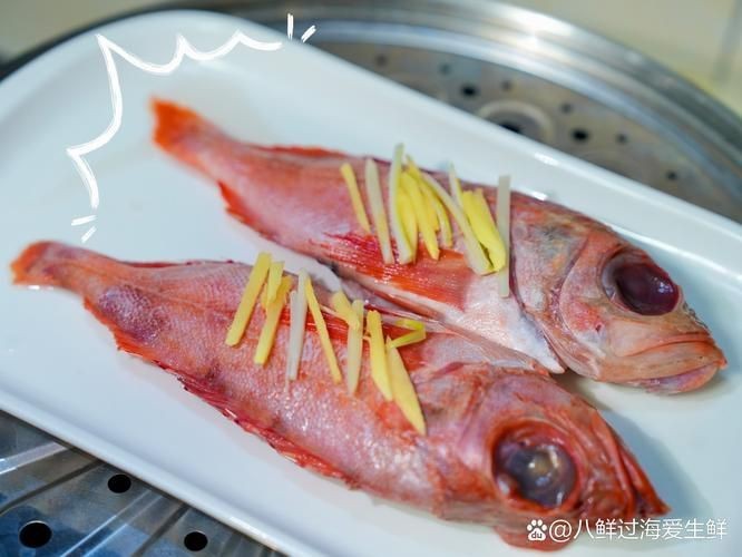 紅勾銀版魚最忌三種水果圖片