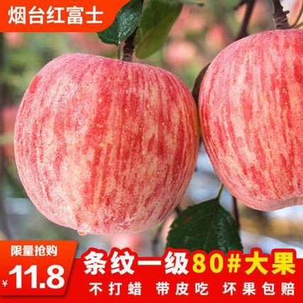 紅勾銀版魚最忌三種水果圖片