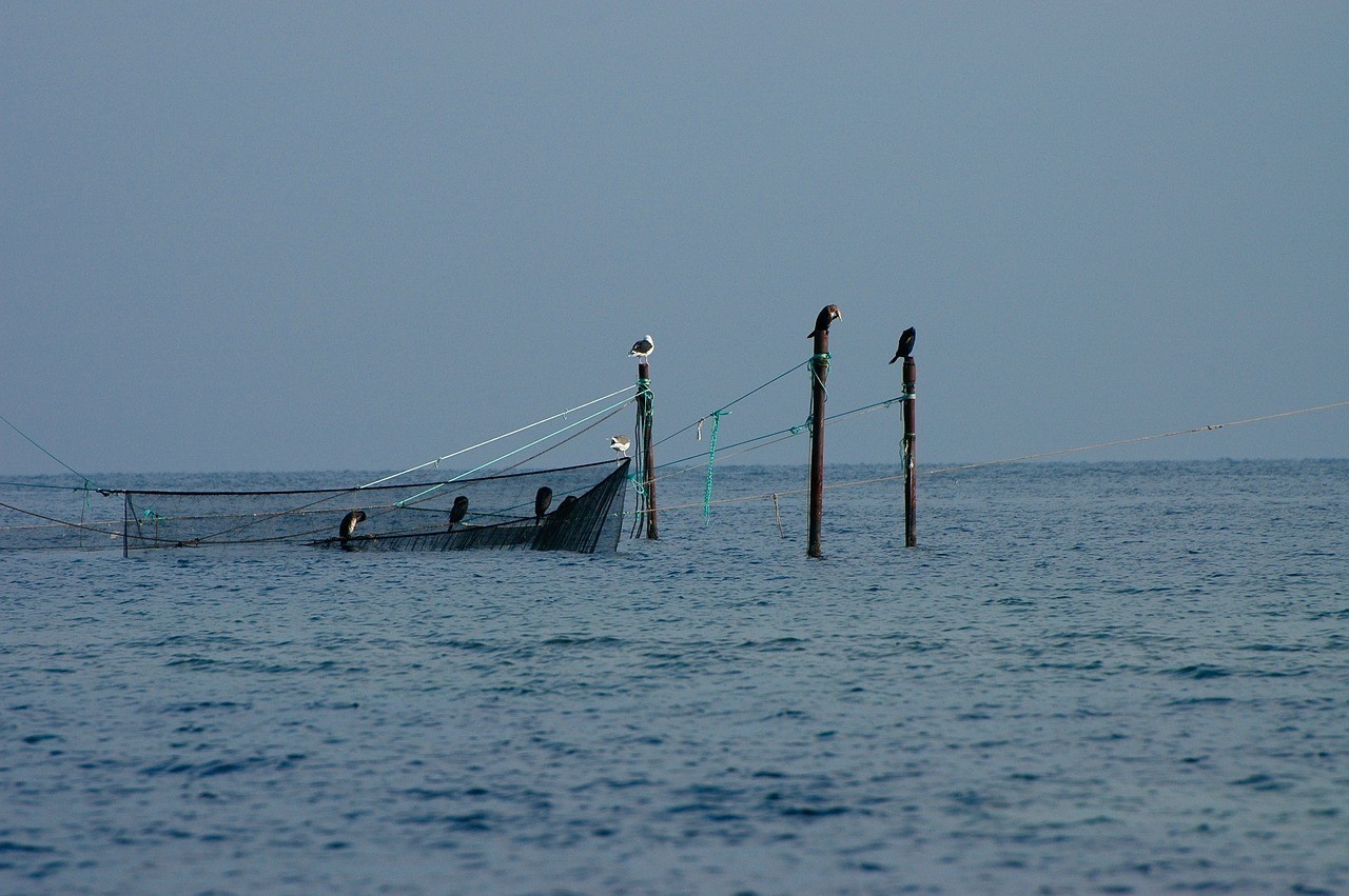 大荔縣觀賞魚技術(shù)開發(fā)中心（大荔縣魚種場）