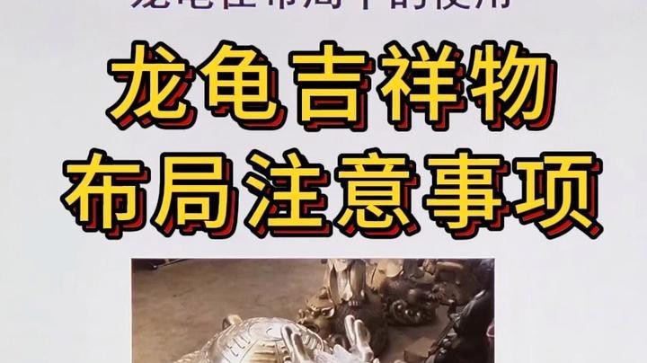 龍龜在魚缸中如何擺放？ 龍龜在魚缸中如何擺放？ 龍魚論壇 第5張