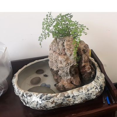 花盆改造成魚缸可行嗎：花盆改裝成魚缸可行嗎？