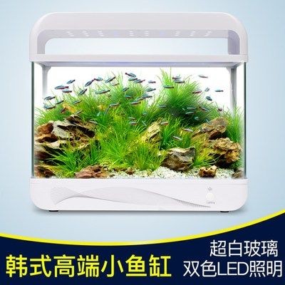 意牌魚缸廠家聯系方式：意牌魚缸廠家哪家好