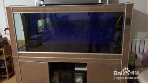 海霸魚缸：海霸魚缸以其豐富的產品線和良好的性價比在市場上占有一席之地