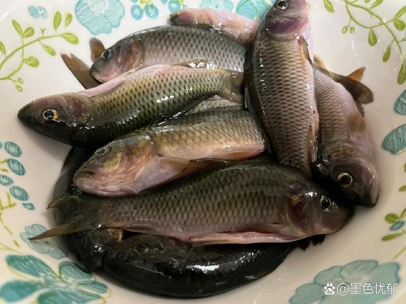 荷花魚的做法