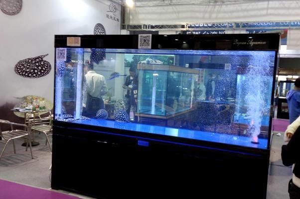 嘉寶魚缸蓋：佳寶魚缸蓋安裝方法佳寶魚缸維護保養(yǎng)指南