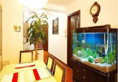 魚缸位置的擺放方位（魚缸位置的擺放方位,不僅可以美化家居環(huán)境，還能美化家居環(huán)境）