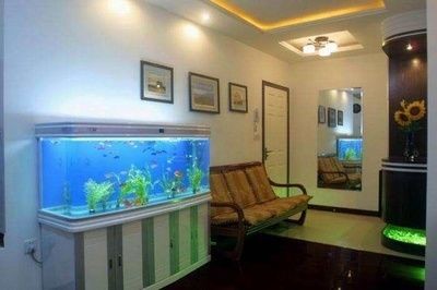 魚缸位置的擺放方位（魚缸位置的擺放方位,不僅可以美化家居環(huán)境，還能美化家居環(huán)境）