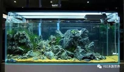 工業二氧化碳和魚缸二氧化碳（工業二氧化碳與食品級二氧化碳的區別）