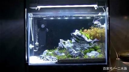 工業二氧化碳和魚缸二氧化碳（工業二氧化碳與食品級二氧化碳的區別）