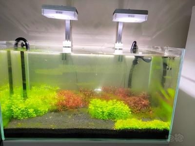 工業二氧化碳和魚缸二氧化碳（工業二氧化碳與食品級二氧化碳的區別）