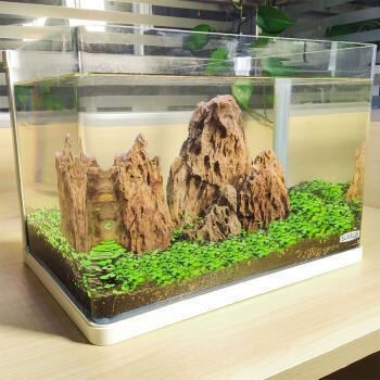 森森hrk600魚缸評測:森森hrk600魚缸用戶評價匯總 魚缸百科 第5張 森森hrk600魚缸評測:森森hrk600魚缸用戶評價匯總 森森hrk600魚缸評測:森森hrk600魚缸用戶評價匯總 魚缸百科 第5張
