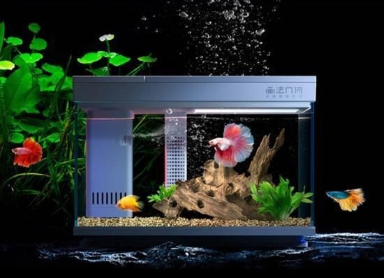 畫法幾何魚缸喂食器故障：幾何魚缸喂食器故障預防魚缸喂食器故障及其解決方法