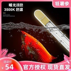 龍魚用2700k的燈有什么好處：2700k的燈對龍魚的發色有很大的促進作用