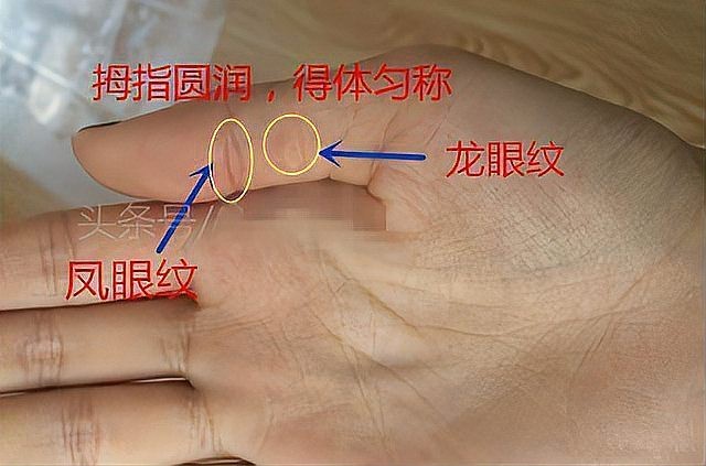 龍眼紋手相